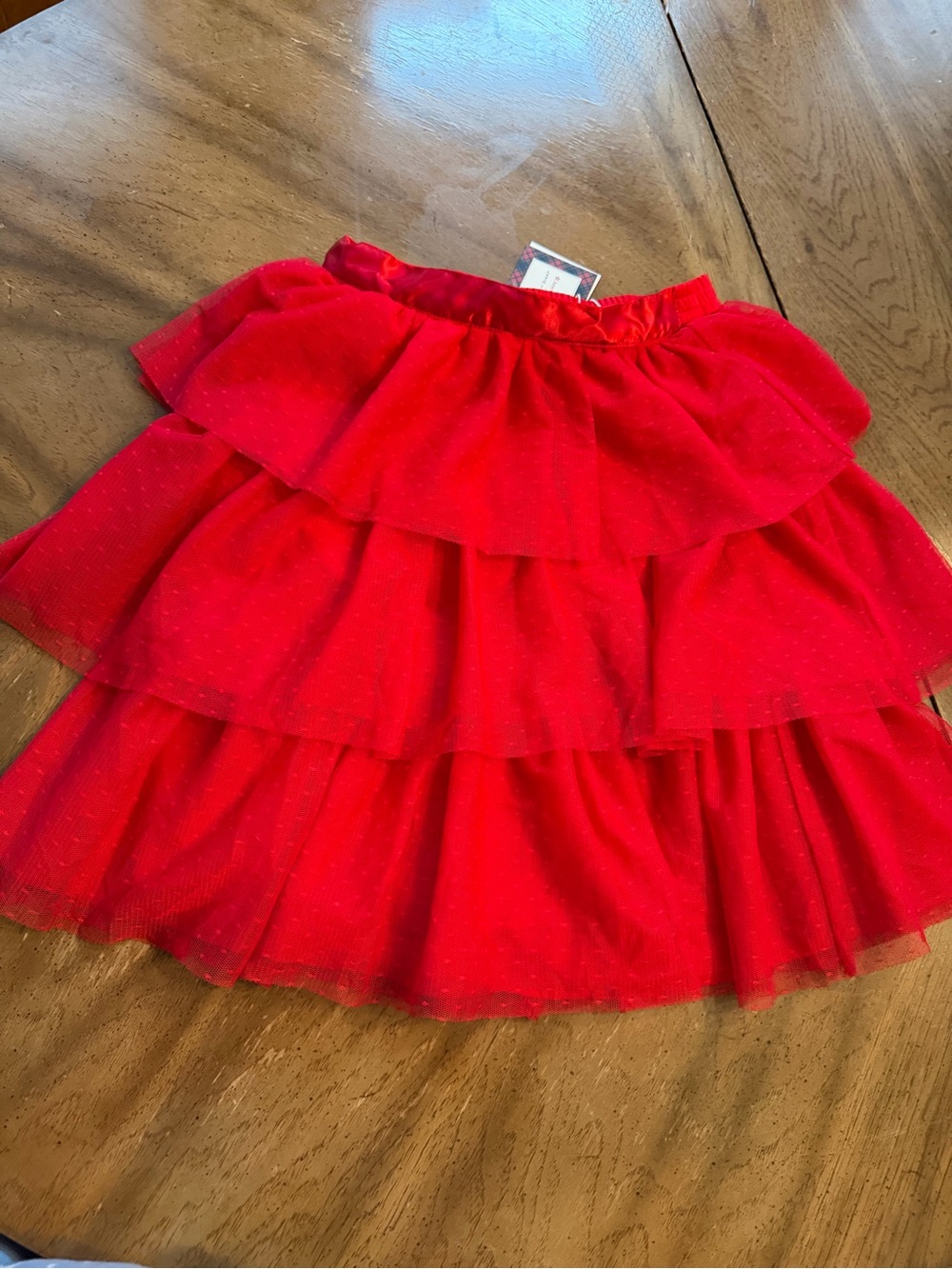 Janie and Jack Red Tiered Tulle Skirt